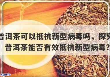 普洱茶：女性抗病的自然选择，科学解析与实践指南