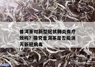 普洱茶与病：科学研究揭示其潜在抗病功效