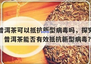 普洱茶的抗病效果：科学研究、预防措及饮用建议