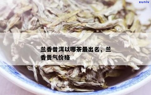 兰香普洱生茶价格大全：全面解析各类产品及购买建议，助你轻松挑选合适茶叶