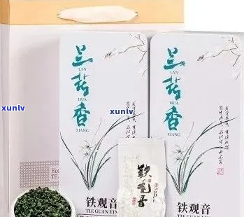 兰香茶叶是什么？如何品尝？有哪些品种？