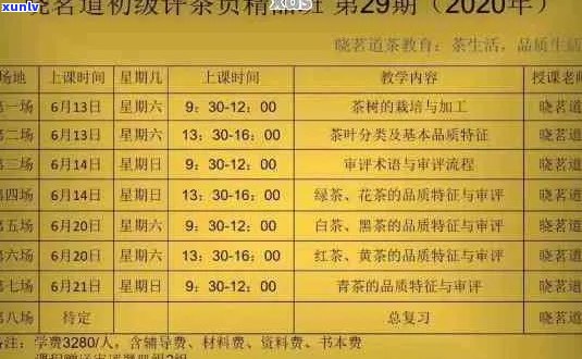 2019年聘号百年名茶价格指南：品鉴与投资之道