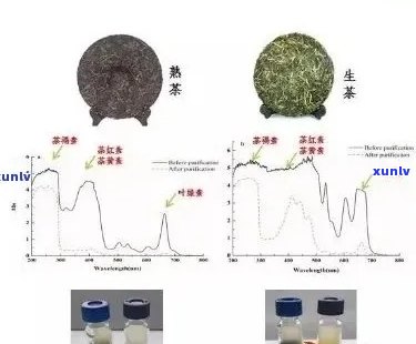 普洱茶是否含有洛托伐他汀：解析茶叶中的他汀类