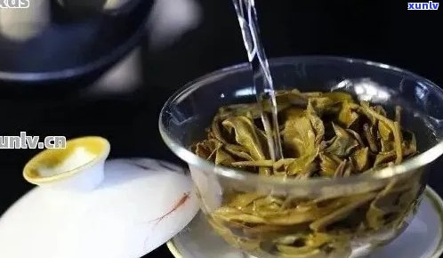 探索普洱茶煮泡艺术：技巧与心得分享