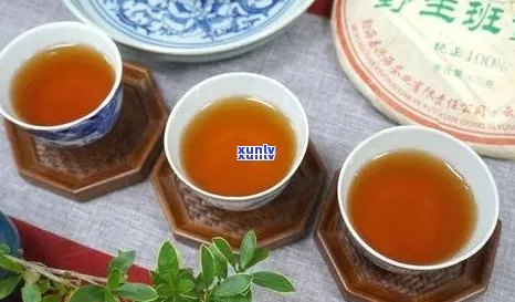 三年陈普洱茶的品饮体验：岁月酝酿的味道是否仍然迷人？