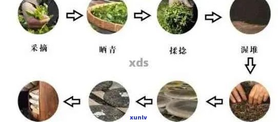 普洱茶 *** 方式及特点，普洱茶的 *** 过程与 *** ，有哪些？