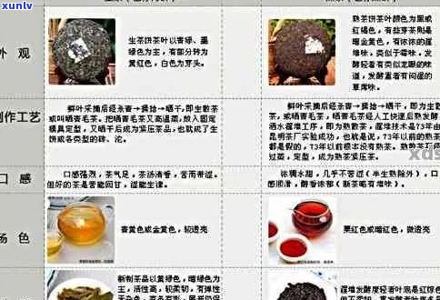 普洱茶对胃炎患者的影响：一杯茶的治愈力量？