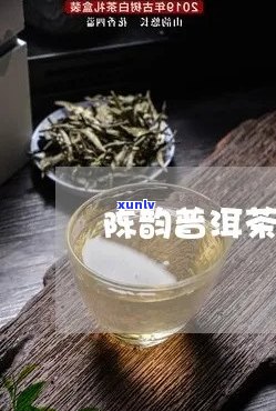 新 古树陈韵，普洱茶的糯香与陈醇完美融合