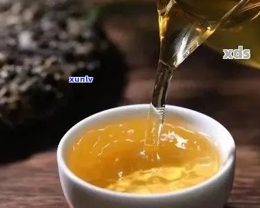 如何泡制普洱茶？每次泡茶需要使用多少小方块茶叶？