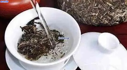 如何泡制普洱茶？每次泡茶需要使用多少小方块茶叶？