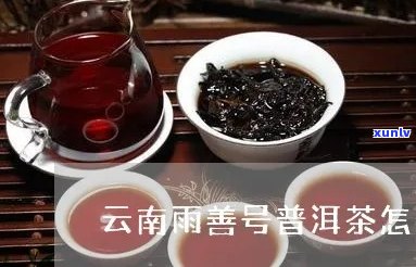 雨善号普洱茶报价：品质越，口感独特，雨润普洱茶值得品鉴！