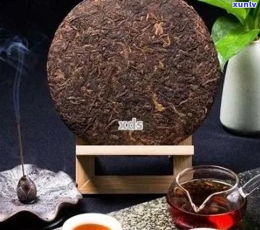 普洱茶一年内可以品饮多少次？以及每次品饮需要多少饼？