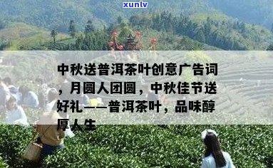 中秋送普洱茶叶创意广告词：月满人间，茶香四溢，普洱情深，福满满