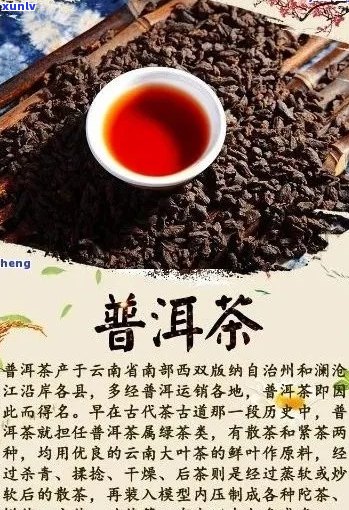 探索普洱茶世界：三大名茶的独特魅力与风味