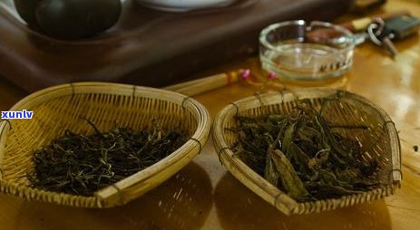 普洱茶中的三大名茶类型：哪三种？