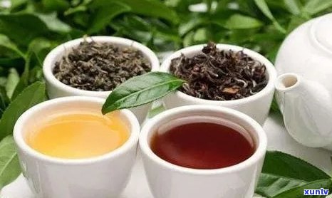 普洱茶的三大名茶及其特点：品味历与文化，感受茶香的魅力