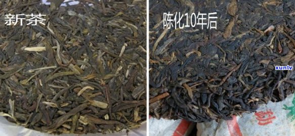 普洱茶：陈年越久越香甜，揭秘其品质变化原因