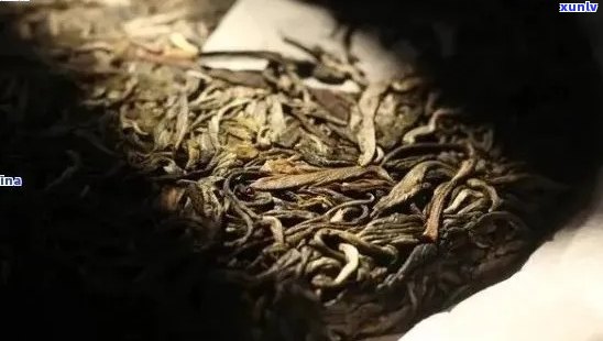 普洱茶的陈化过程：越存越好还是适可而止？