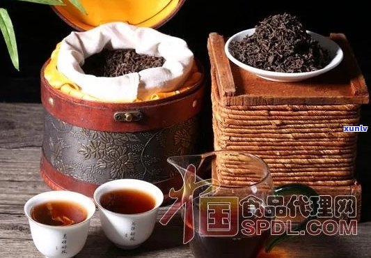 九百年茶业：历、传统与现代化的完美融合——探索最古老的茶文化