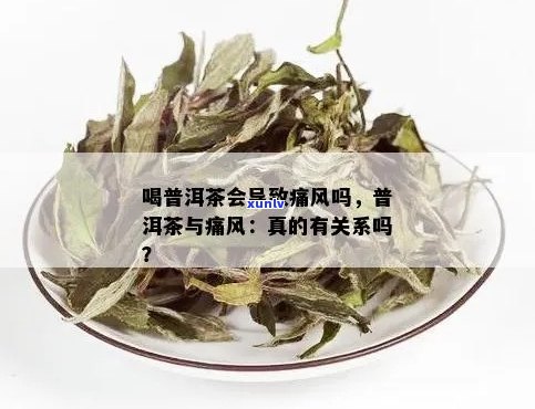 普洱茶与痛风：相互影响及科学饮用 *** 探讨