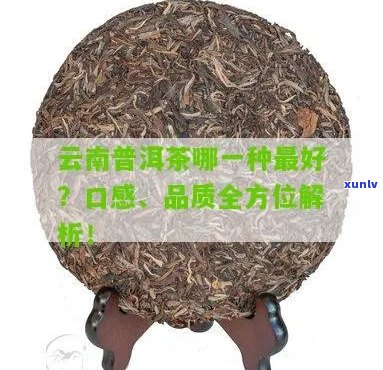 滇之坊普洱茶口感及品质评价：好喝吗？如何鉴别？