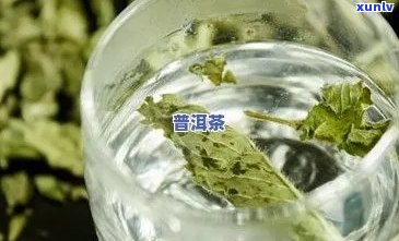 普洱茶里放薄荷叶子好吗：可以喝且有独特风味，但要适量