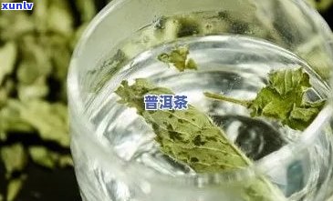 普洱茶加薄荷叶的泡法及功效：可喝、减肥，但需注意搭配。