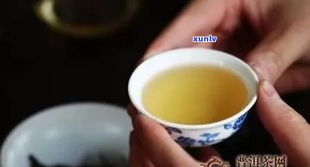 从出生到成年：小孩普洱茶的全方位指南