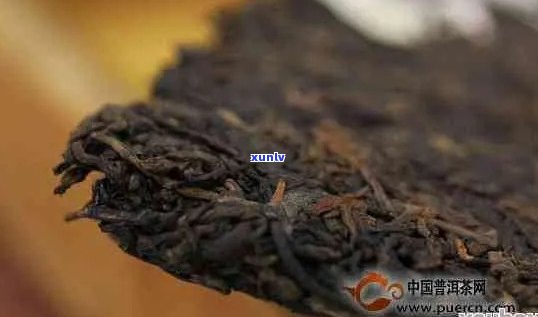 探究班章普洱茶的独特韵味与口感特征