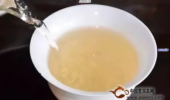 普洱茶泡出来有异味？如何解决及预防茶叶味道问题