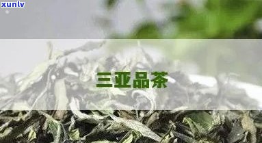 三亚名茶金萝茶价格及种类介绍