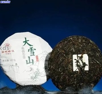 大雪山普洱生茶：品种、产地、品质、价格全方位解析