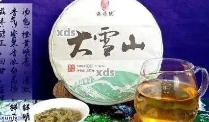 云南大雪山普洱茶：源自古树名茶的纯净之味