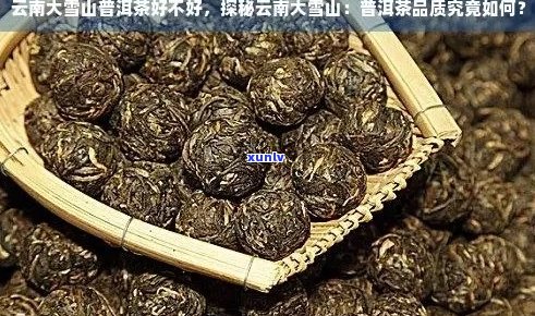 新大雪山普洱茶的产地、品种、 *** 工艺及品鉴技巧全方位解析