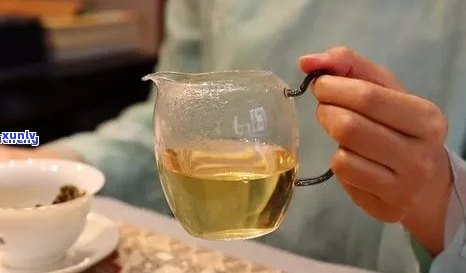 一泡普洱茶需要多少毫升水？如何正确泡制普洱茶以获得口感？