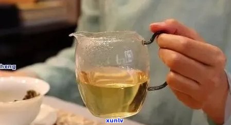 普洱茶泡法：每次泡多少茶叶最合适？如何控制浸泡时间和水？