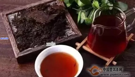 新 '长时间泡制的普洱茶是否安全饮用？可能的副作用与性探究'