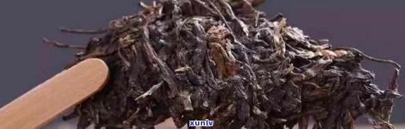 普洱茶泡久了有什么危害：长时间泡普洱茶是否对健有害？