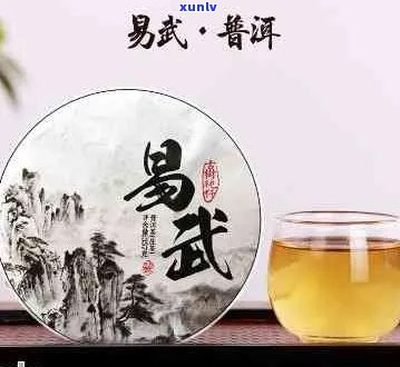 易武普洱茶：品质、档次、价格及口感全解析