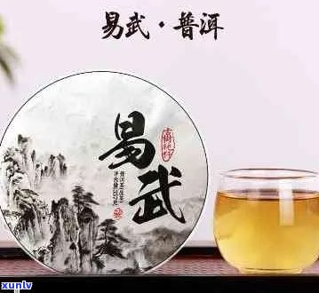 全方位解析：易武普洱茶的品质、口感、功效与选购指南，看看是否适合你？