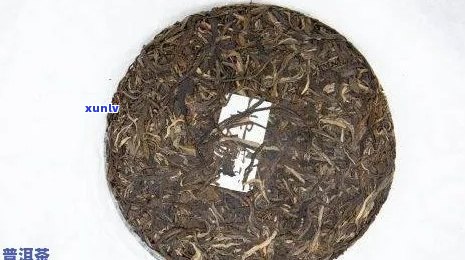 全方位解析：易武普洱茶的品质、口感、功效与选购指南，看看是否适合你？