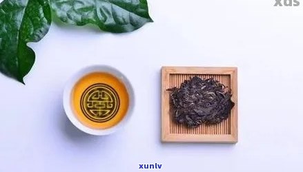 普洱茶越陈越好的科学依据：氧化作用与多酚类物质的变化