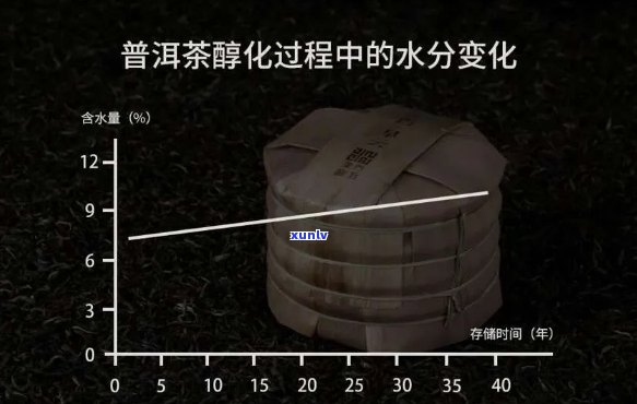 普洱茶越陈越好的科学依据：氧化作用与多酚类物质的变化