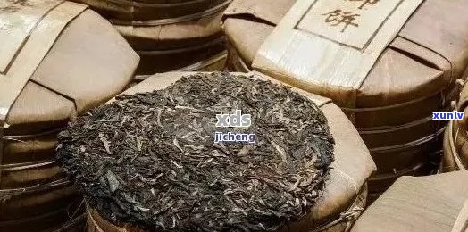 普洱茶的5个小秘密有哪些、品种和特点？