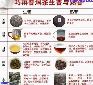 普洱茶的5个小秘密有哪些、品种和特点？