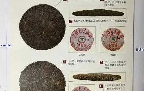 探索一箱普洱茶：从产地到品质，你需要了解的所有信息