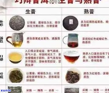 全面解析一杯优质普洱茶的必备要素：从选材到冲泡技巧