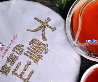 大雪山普洱茶：品种特点、口感评价与选购指南，让你全面了解这款好茶！