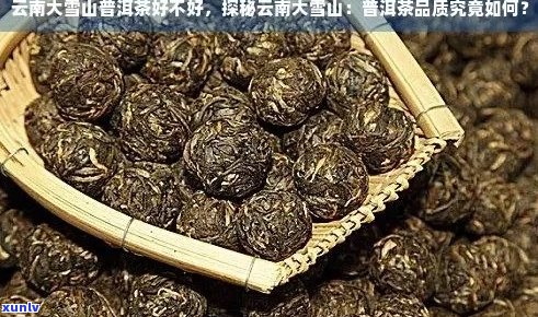 大雪山普洱茶：品种特点、口感评价与选购指南，让你全面了解这款好茶！