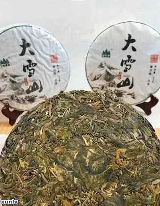 大雪山普洱茶：品种特点、口感评价与选购指南，让你全面了解这款好茶！